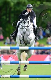 Pferdesport Reiten