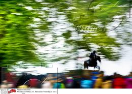 Pferdesport Reiten Military