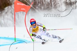 Wintersport Ski Alpin