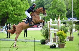 Pferdesport Reiten