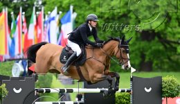 Pferdesport Reiten