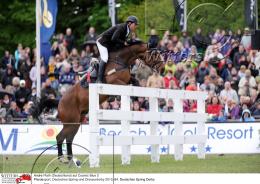 Pferdesport Reiten Springreiten