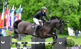 Pferdesport Reiten