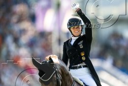Pferdesport Reiten Springreiten