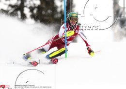 Wintersport Ski Alpin