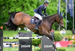 Pferdesport Reiten