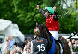 Pferdesport Reiten Galopp