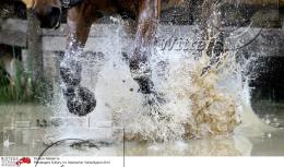 Pferdesport Reiten Military