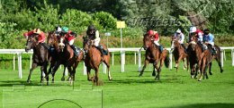 Pferdesport Reiten Galopp
