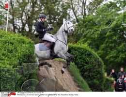 Pferdesport Reiten Springreiten