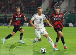 Fussball