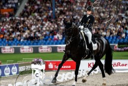 Pferdesport Reiten Springreiten