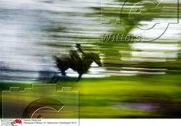 Pferdesport Reiten Military