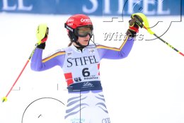 Wintersport Ski Alpin