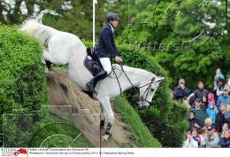 Pferdesport Reiten Springreiten