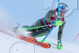 Wintersport Ski Alpin