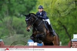 Pferdesport Reiten Springreiten