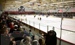 Wintersport Eishockey