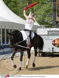 Pferdesport Reiten Springreiten