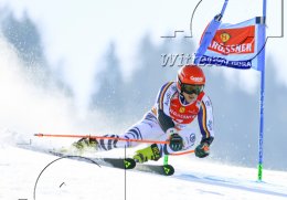 Wintersport Ski Alpin