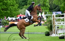 Pferdesport Reiten
