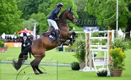 Pferdesport Reiten