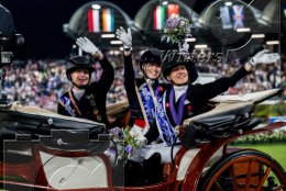 Pferdesport Reiten Springreiten