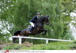 Pferdesport Reiten Springreiten