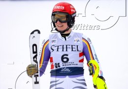 Wintersport Ski Alpin