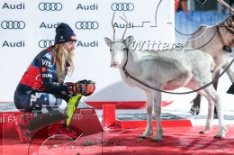 Wintersport Ski Alpin