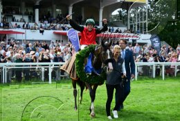 Pferdesport Reiten Galopp