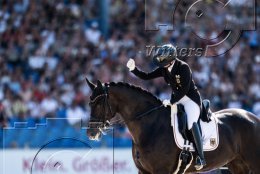 Pferdesport Reiten Springreiten
