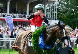 Pferdesport Reiten Galopp